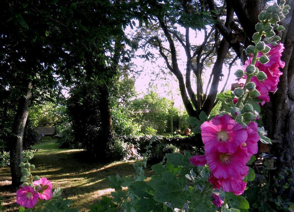 La Claverie Sainte-Radegonde-des-Noyers ภายนอก รูปภาพ